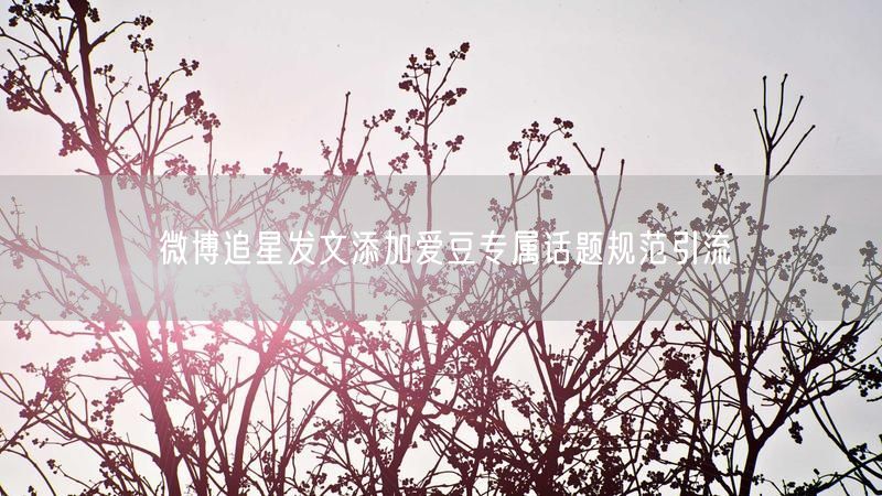 微博追星发文添加爱豆专属话题规范引流