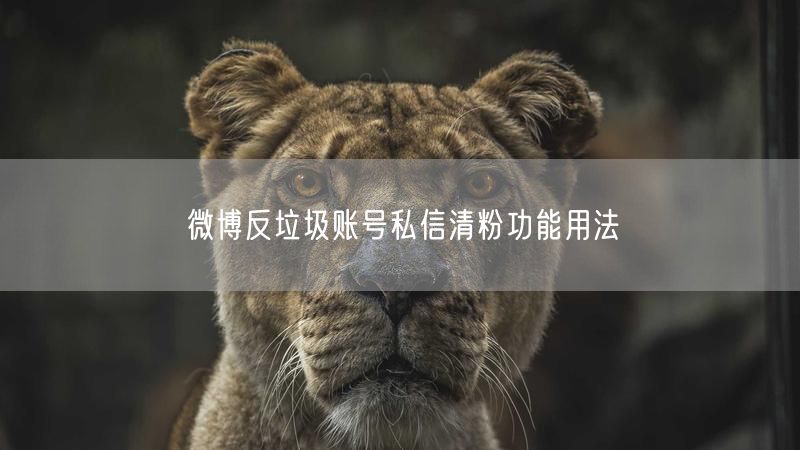 微博反垃圾账号私信清粉功能用法