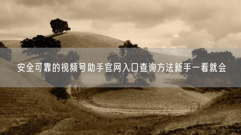 安全可靠的视频号助手官网入口查询方法新手一看就会