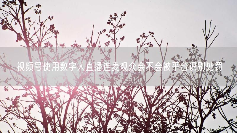 视频号使用数字人直播连麦观众会不会被平台识别处罚