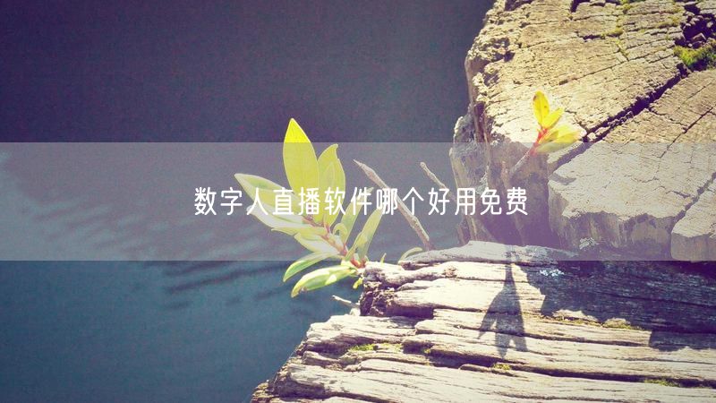 数字人直播软件哪个好用免费