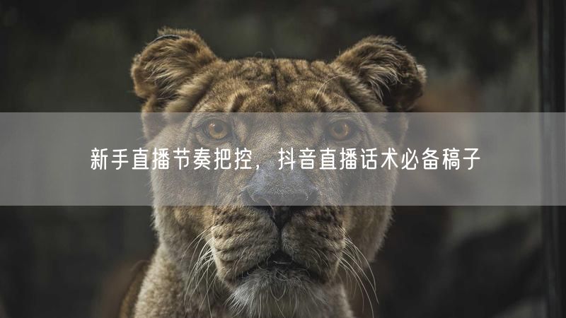 新手直播节奏把控，抖音直播话术必备稿子
