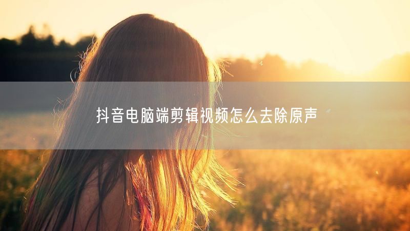 抖音电脑端剪辑视频怎么去除原声