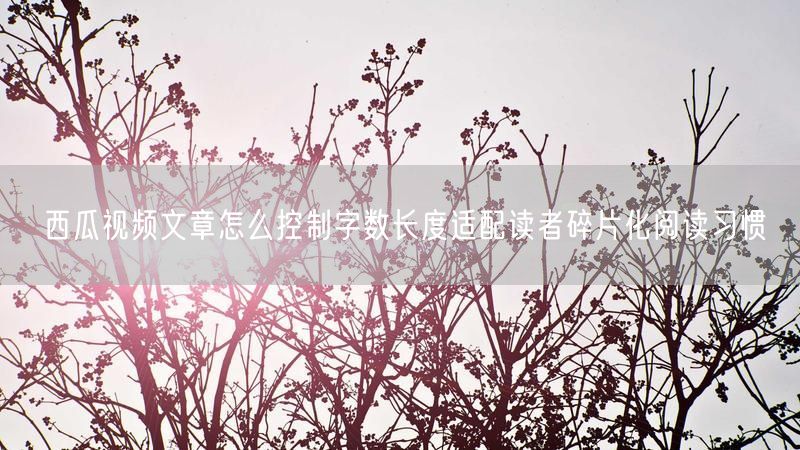 西瓜视频文章怎么控制字数长度适配读者碎片化阅读习惯