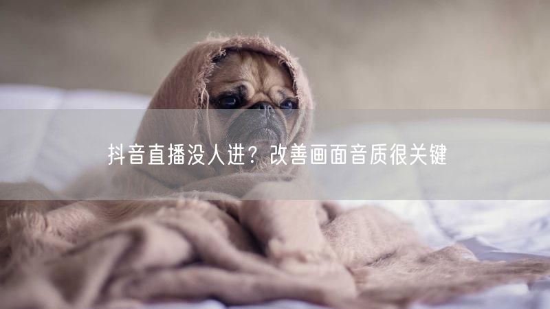 抖音直播没人进？改善画面音质很关键