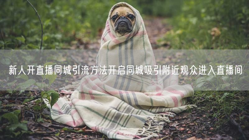 新人开直播同城引流方法开启同城吸引附近观众进入直播间