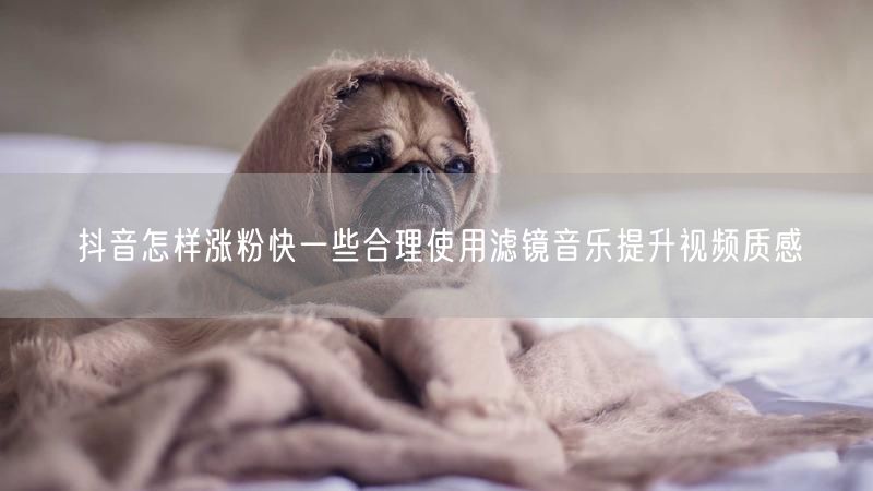 抖音怎样涨粉快一些合理使用滤镜音乐提升视频质感