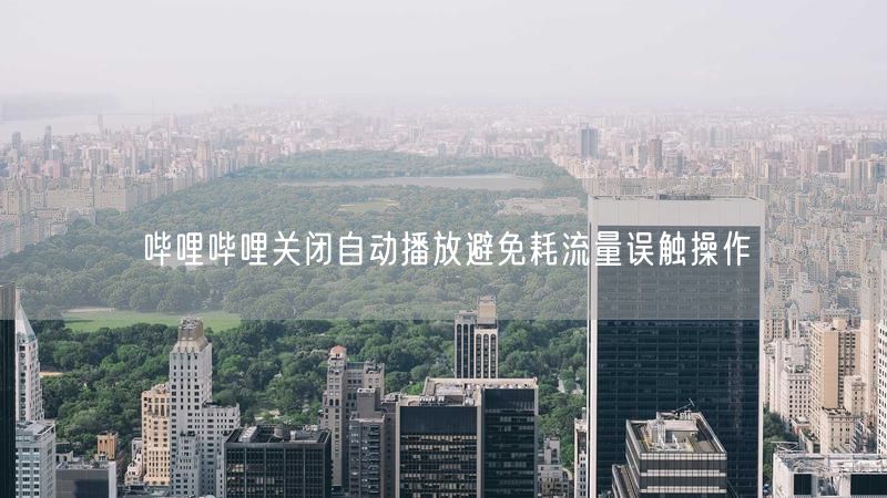 哔哩哔哩关闭自动播放避免耗流量误触操作