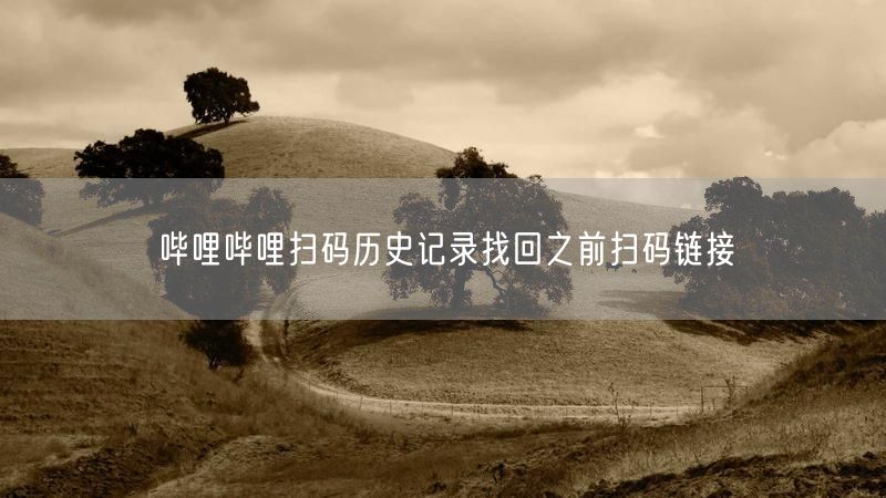 哔哩哔哩扫码历史记录找回之前扫码链接