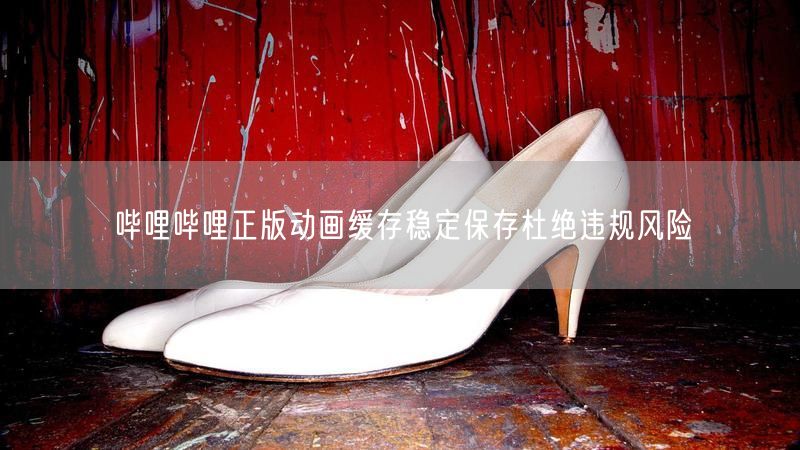哔哩哔哩正版动画缓存稳定保存杜绝违规风险