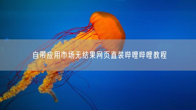 自带应用市场无结果网页直装哔哩哔哩教程