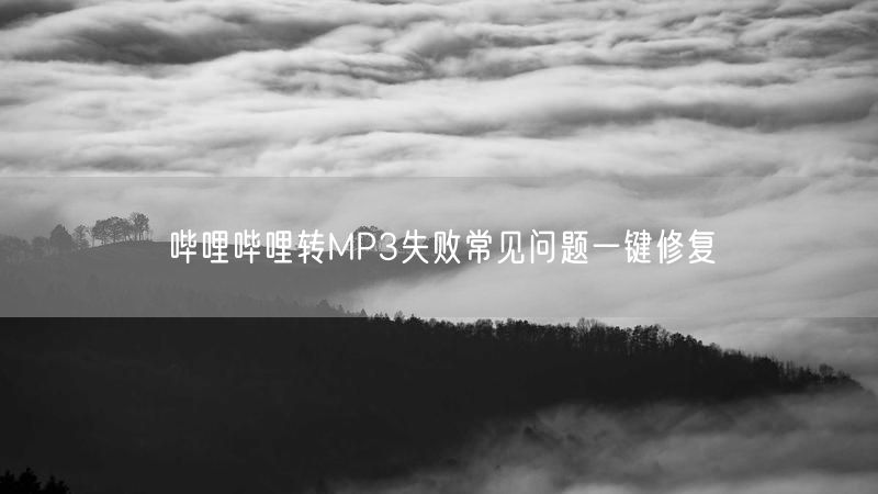 哔哩哔哩转MP3失败常见问题一键修复