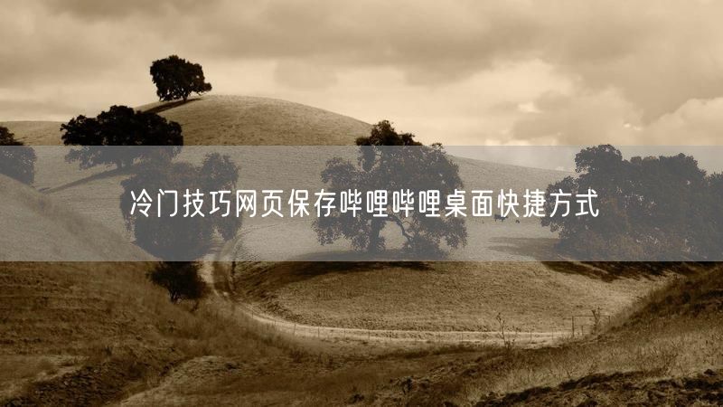 冷门技巧网页保存哔哩哔哩桌面快捷方式