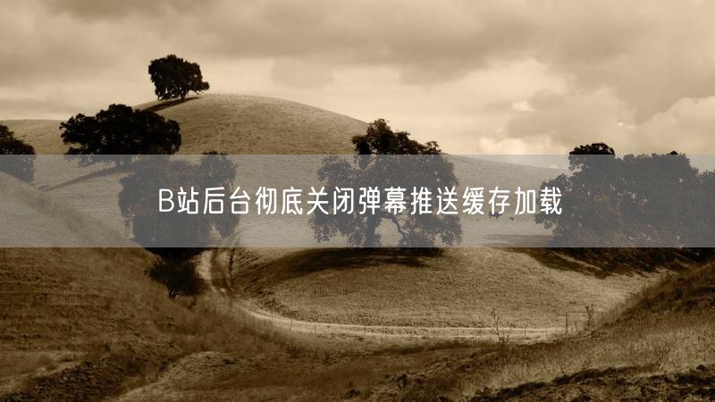 B站后台彻底关闭弹幕推送缓存加载