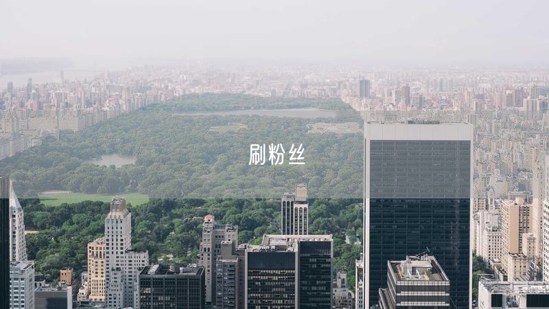 刷粉丝