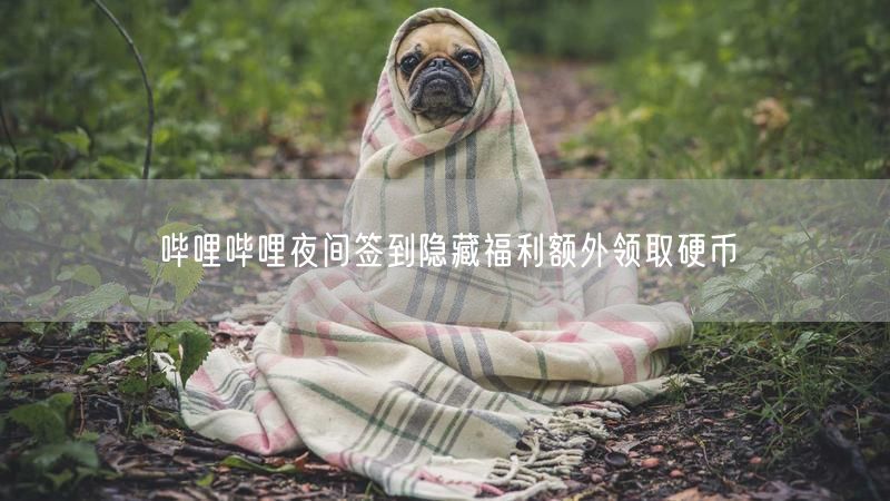 哔哩哔哩夜间签到隐藏福利额外领取硬币