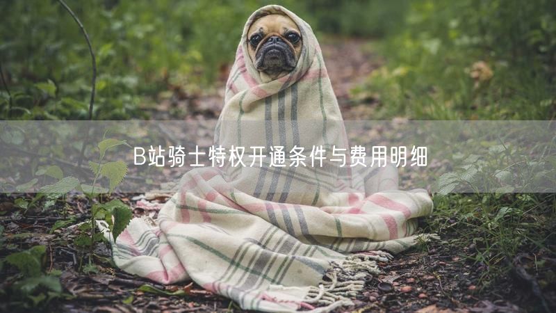 B站骑士特权开通条件与费用明细